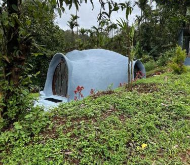 Samse Other | The View 360 Naturestay