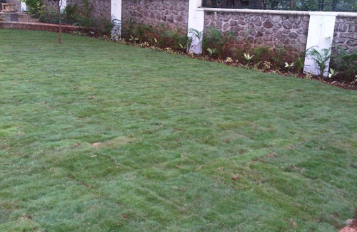 Kune N.m. Villa | The Villa With Pool, Disco, Lawns