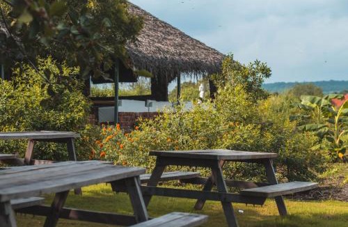 Vikarabad Hotel | The Wilderness Campsite