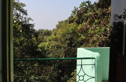 Arambol Hostel | This Is It Jungle Maze Hostel