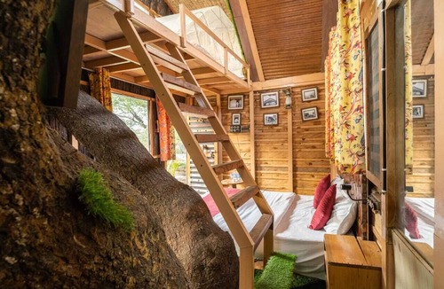 Chakrata Hotel | Tiger Fall Eco Resort