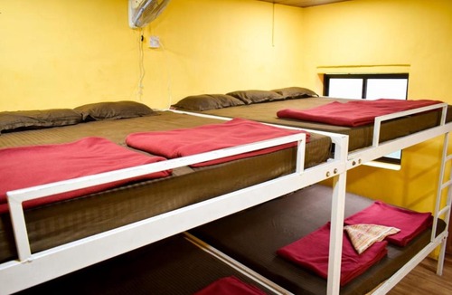 Supa House | Tiger Homestay