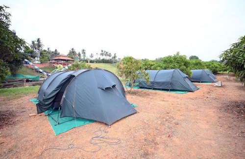 Mandarthi Resort | Tinton Adventure Resort