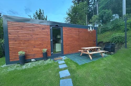 Caciulata Ski Chalet | Tiny Cozia Caciulata