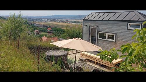 Apahida House | Tiny House Dezmir