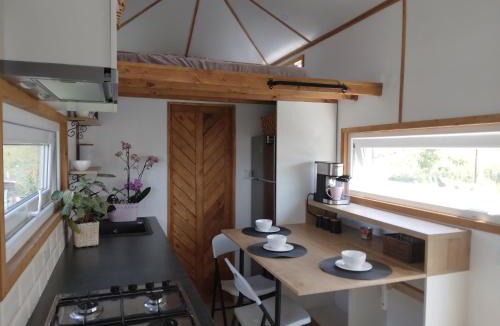 Apahida House | Tiny House Dezmir