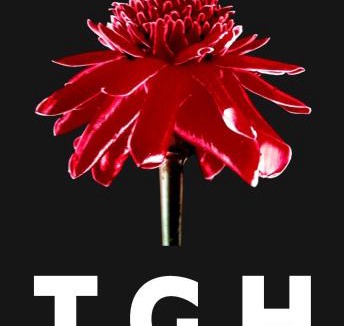 Sulthan Bathery House | Torch Ginger Homestay