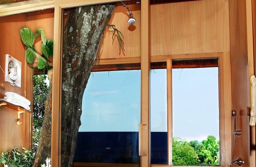 Kolagappara Hotel | Tranquil Resort - BluSalzz Collection, Wayanad