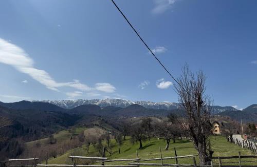 Moieciu Cabin | Transylvanian Views