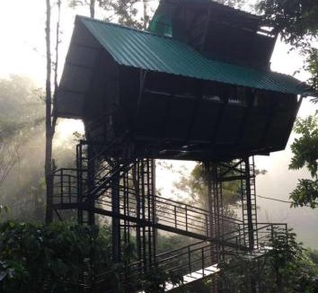 Sulthan Bathery Resort | Tree House Wayanad