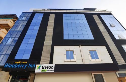 Domlur Hotel | Treebo Blueberry Inn