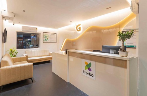 Vijayanagar 1st Stage Hotel | Treebo Global Orchid