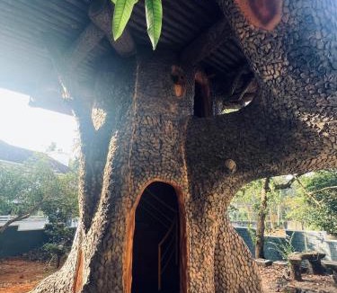 Kakkanad House | Treehouse Retreat - Kochi