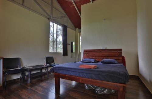 Chikkamagaluru Hostel | Trippr Chikkamagaluru
