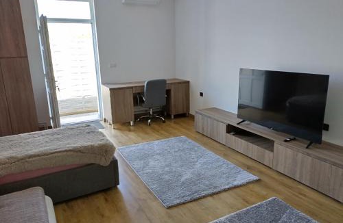 Valea lui Mihai Apartment | TSG apartament 2