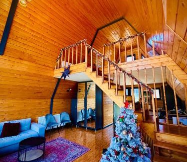 Azuga Ski Chalet | Twin Cabins Azuga