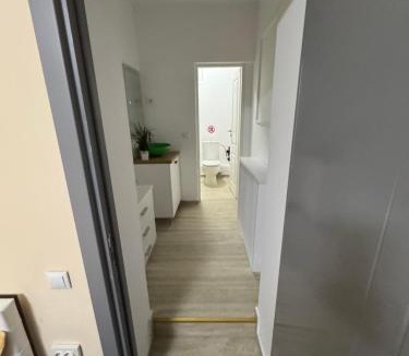 Craiova House | Udroiu Residence 2