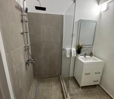 Craiova House | Udroiu Residence