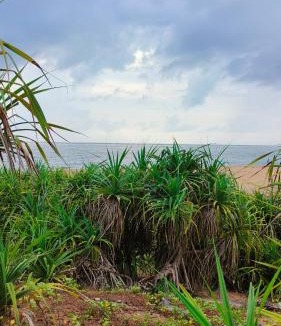 Auroville Hostel | Unearth Hostel (Pondicherry)