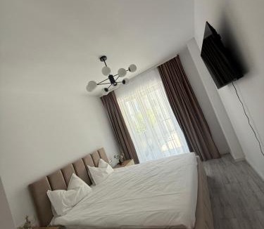 Cluj-Napoca Apartment | Urban Elegance
