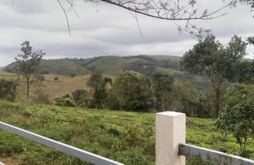 Elappara Villa | Vagamon Hill Palace Resort