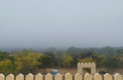 Thana Gazi Cabin | Vanraj sariska lodge thanagazi