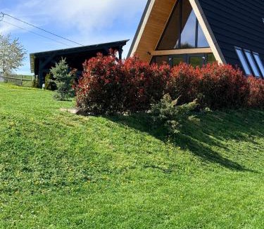 Tohanu Nou Ski Chalet | Vatra Barsei