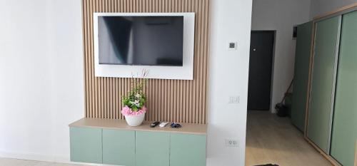 Ramnicu Valcea Apartment | Vera Home 4