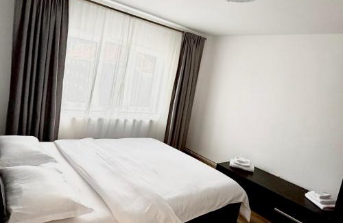 Ocna Mures Apartment | Victory Apartament