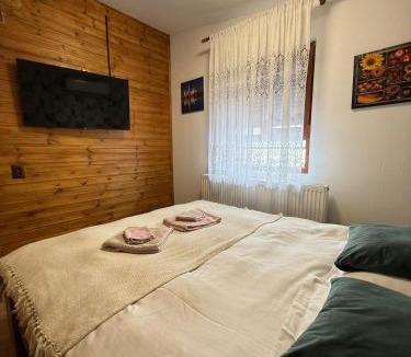 Jiblea Veche House | View Cozia