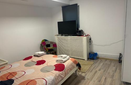 Cluj-Napoca Apartment | Viking Apartment Grigo
