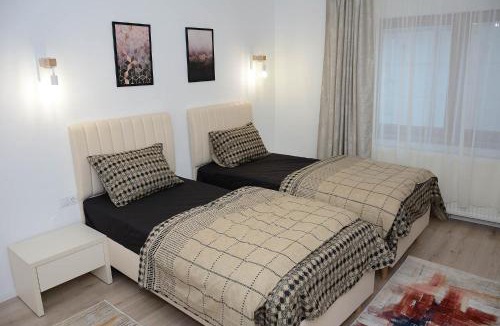 Simeria House | Vila Aras