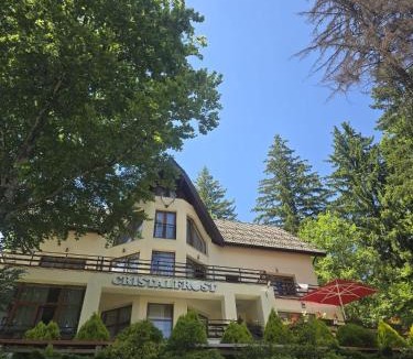 Poiana Brasov House | Vila Cristalfrost