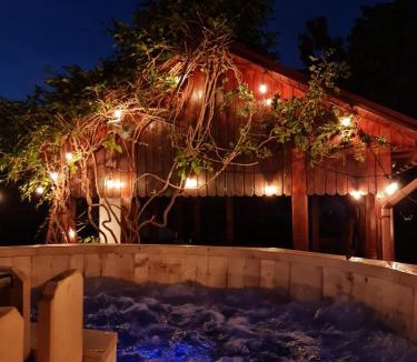 Ghioroc Villa | Vila cu Ciubar & Jacuzzi - Sunset Hill House
