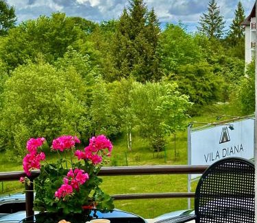 Poiana Brasov House | Vila Diana - Poiana Brasov with breakfast optional at hotel Simona Halep
