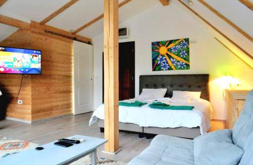 Zavoi Apartment | Vila Eruga- Apartament 3