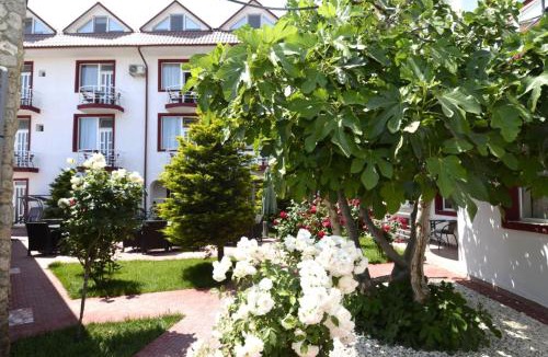 Costinesti Hotel | Vila Julia Costinesti