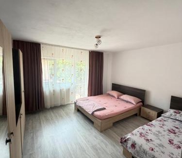 Gura Suhasului House | Vila Mina