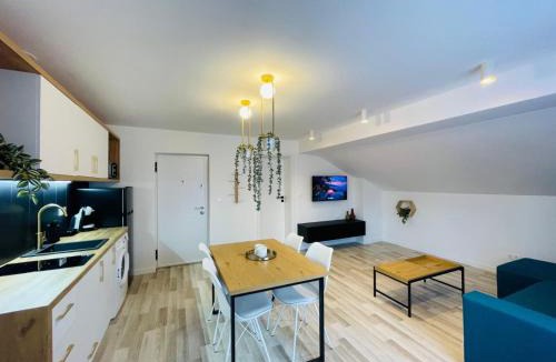 Bistrita Apartment | Vila Morariu