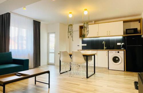 Bistrita Apartment | Vila Morariu