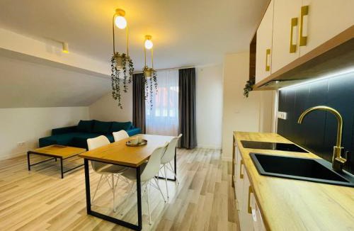 Bistrita Apartment | Vila Morariu
