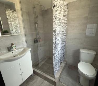 Gura Raului Ski Chalet | Vila Narci Paltinis