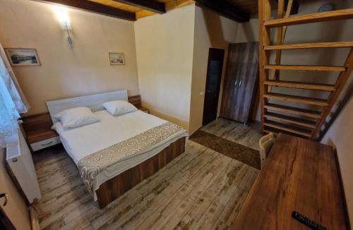 Albesti House | Vila Sura Razoare