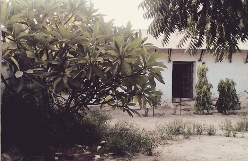 Rohet House | Village Castle stay amidst Desert