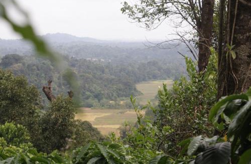 Madikeri House | vintage Pearl Estate Stay