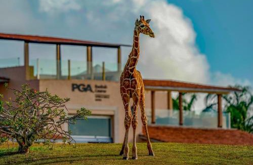 Vipingo Hotel | Vipingo Ridge limited