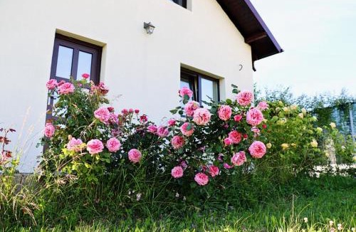 Mioveni House | Virajlux Verde Retreat