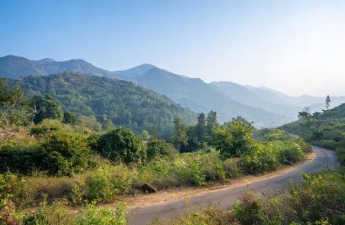 Ninnimamidi House | Vistara Resort - 15BR Cottages in Araku Valley