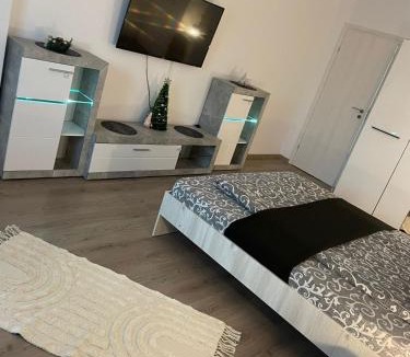 Tractorul Apartment | VivamusApartmentsBV