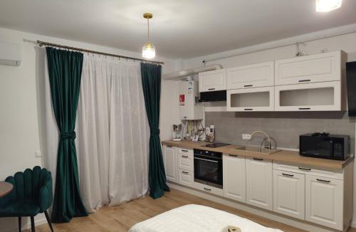 Baia Mare Apartment | Vivien Residence 2